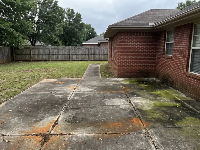 Back patio slab with heavy green algae, dark mildew and rust-coloured tannin staining before cleaning
